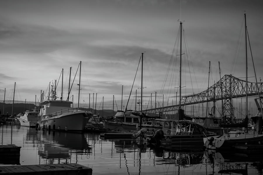 Astoria Marina black and white Photograph by Cathy Anderson