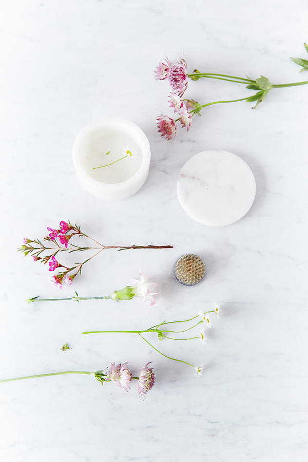 Astrantia, Waxflowers, Pinks And Chamomile On Marble Surface Photograph by Nicoline Olsen