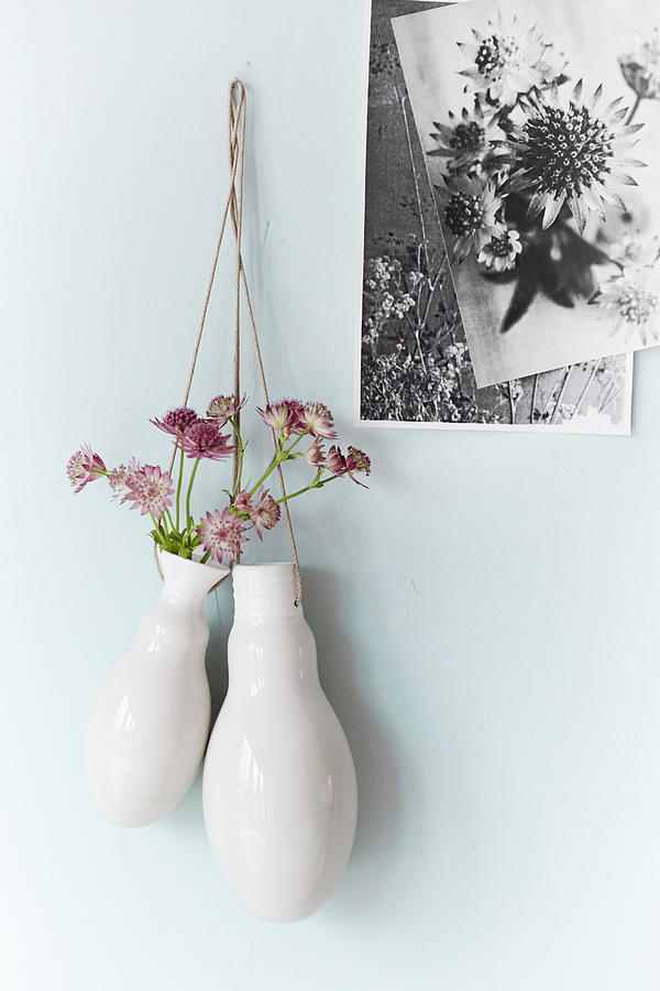 Astrantias In Vases Suspended On Wall Next To Photocopied Pictures Photograph by Nicoline Olsen