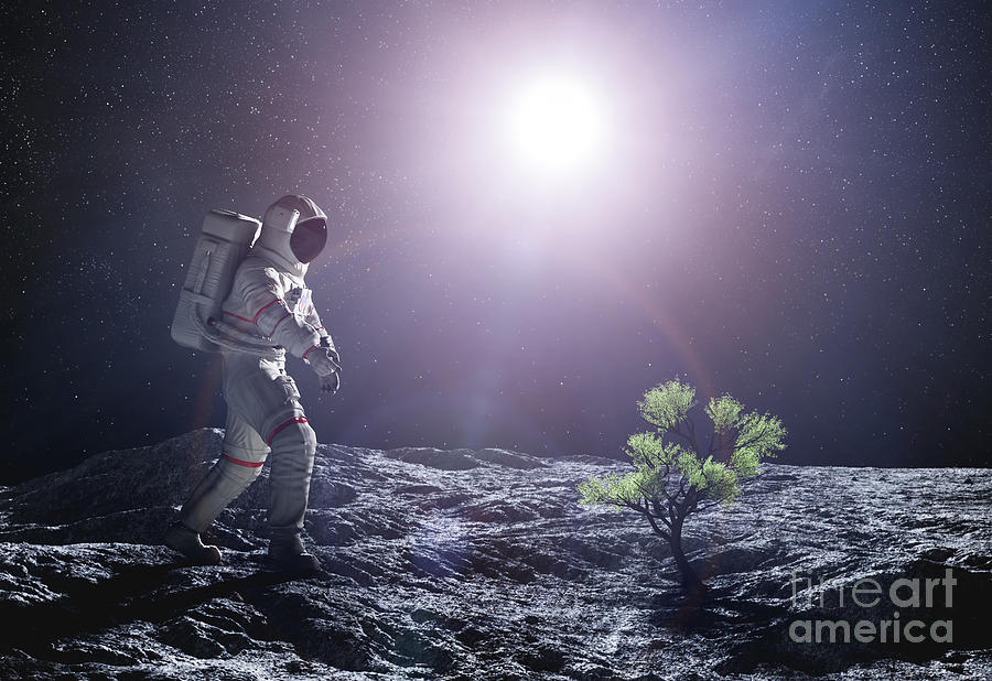 Astronaut exploring an alien planet. Green plant growing. Photograph by Michal Bednarek