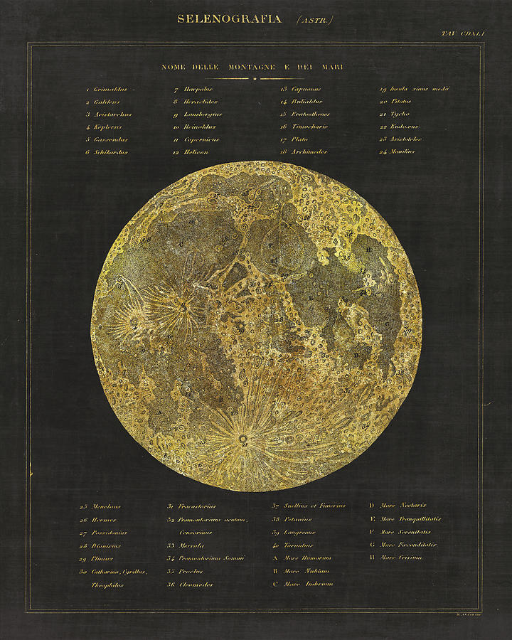Space Painting - Astronomical Chart I by Wild Apple Portfolio