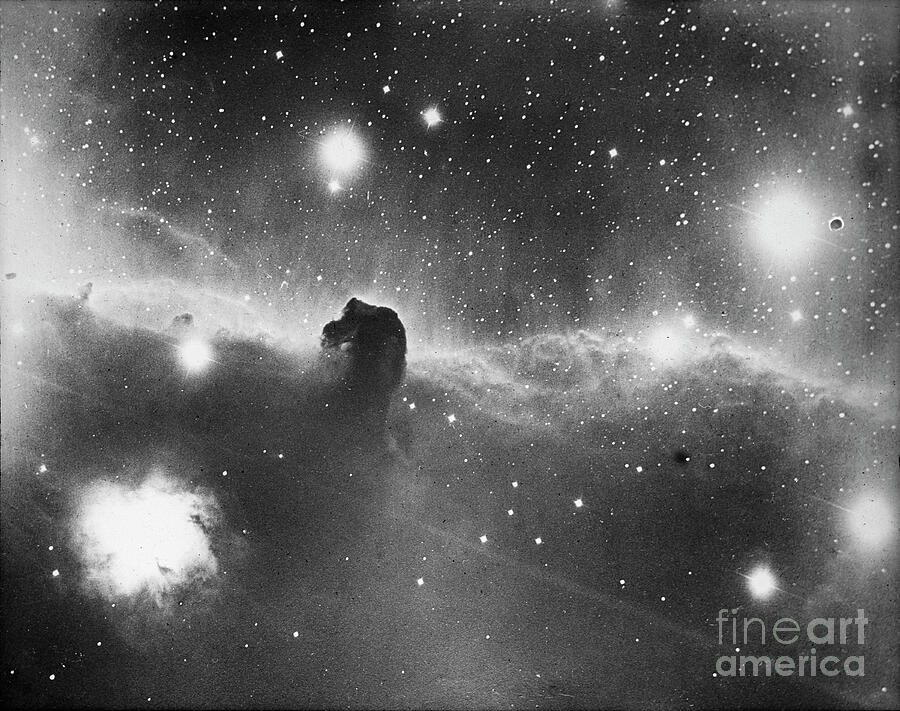 Space Photograph - Astronomical Glass Plate Slide Of Nebula Of Zeta Orionis Glass Negative by Unknown Artist