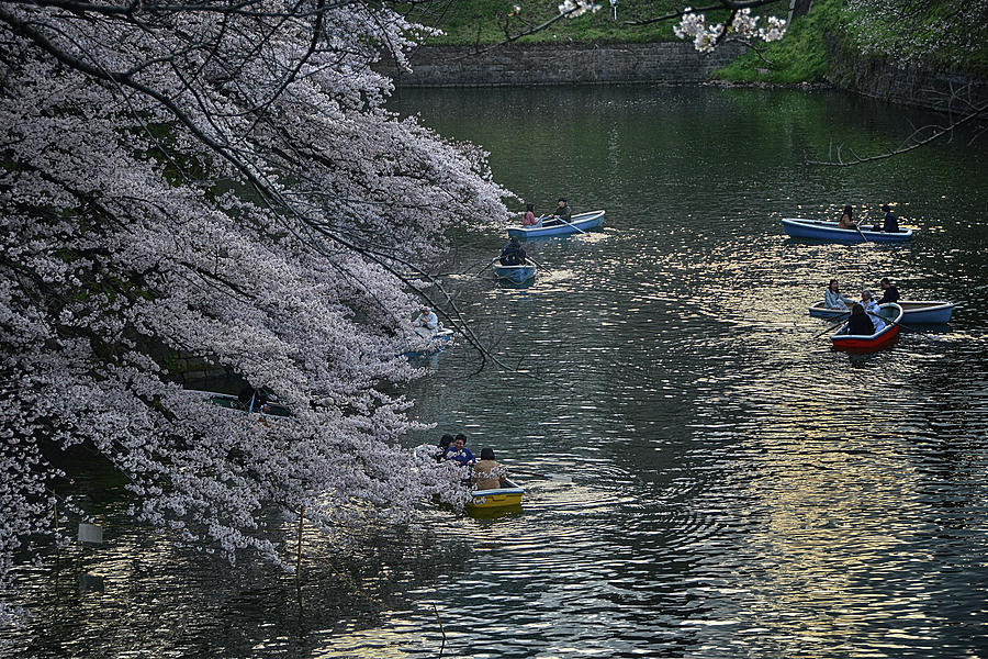 At Kitanomaru Park Photograph by Andrei SKY