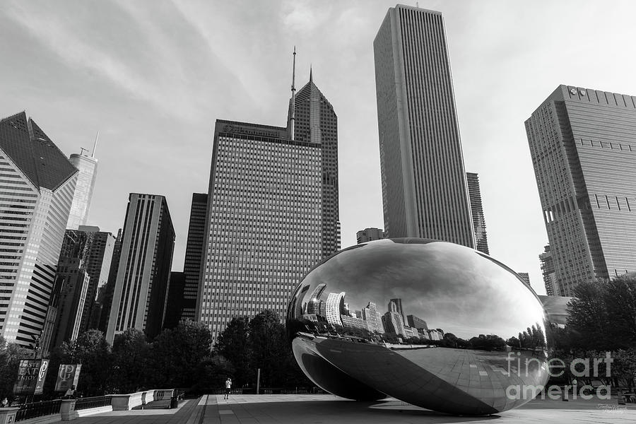 At The Bean Grayscale Photograph by Jennifer White