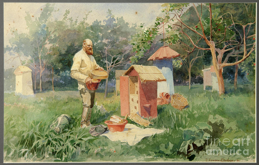 At The Bee Yard, 1890. Artist Drawing by Heritage Images