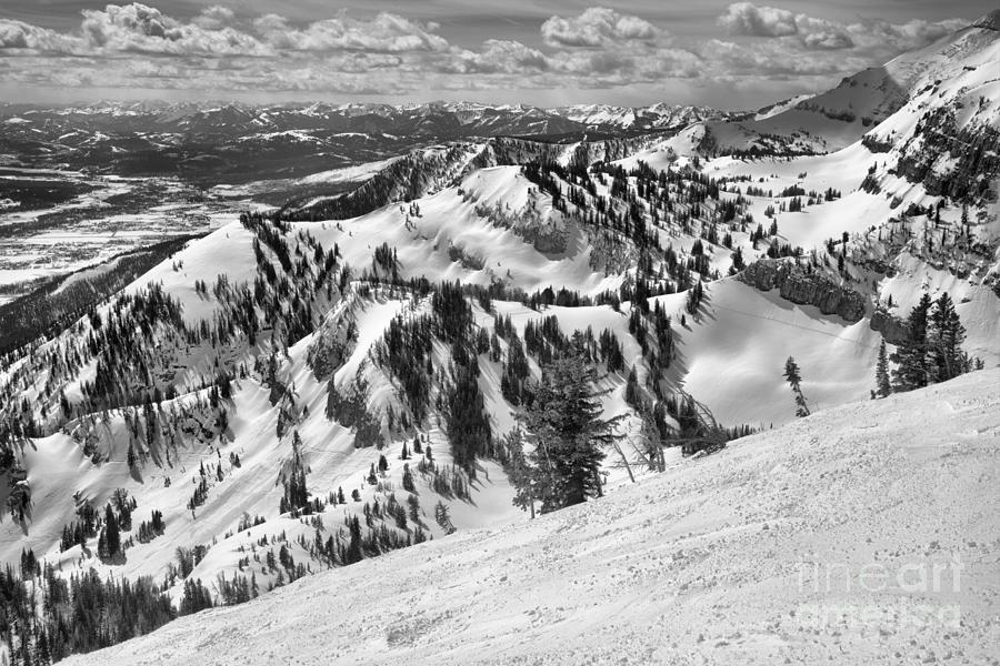 At The Jackson Hole Treeline Black And White Photograph by Adam Jewell