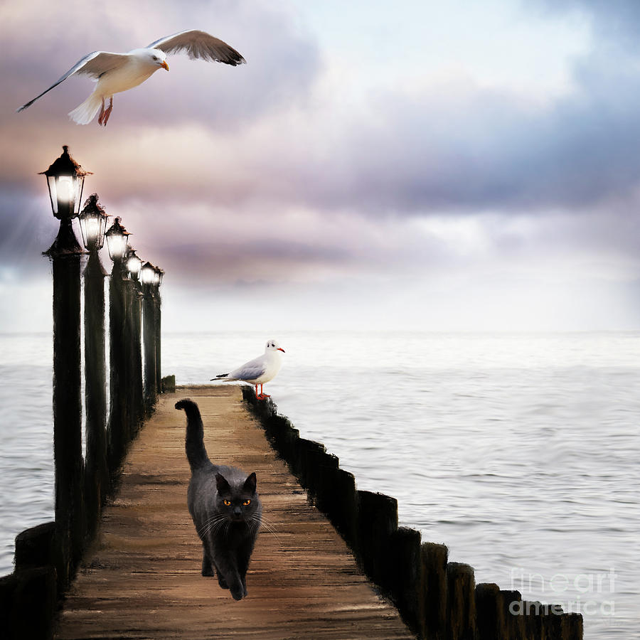 At The Jetty by Anne Vis At The Jetty by Anne Vis
