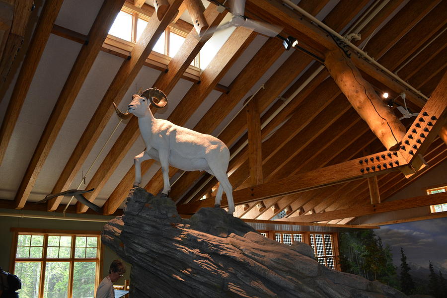 At The Visitor Center Photograph by Joe Smiga At The Visitor Center Photograph by Joe Smiga
