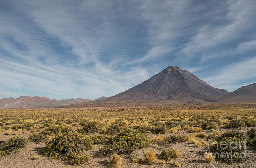Atacama Beauty Photograph by Brian Kamprath