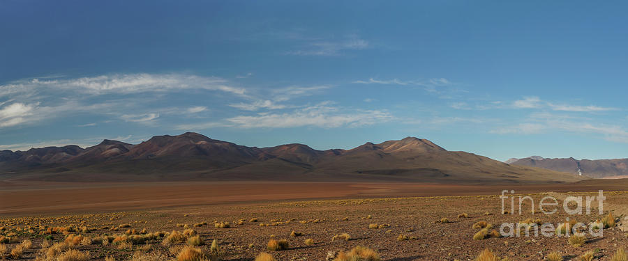 Atacama Desert Photograph by Brian Kamprath