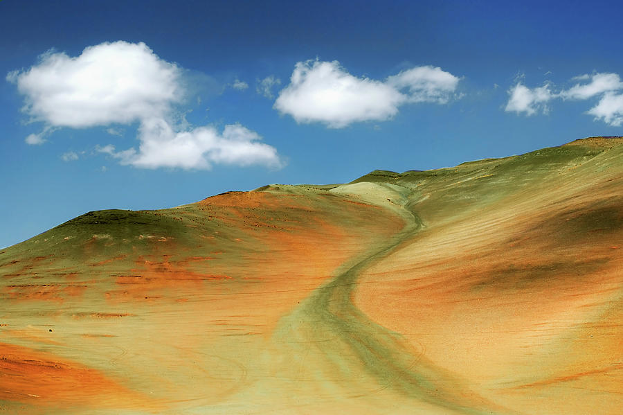 Atacama Desert Landscape Photograph by Igor Alecsander