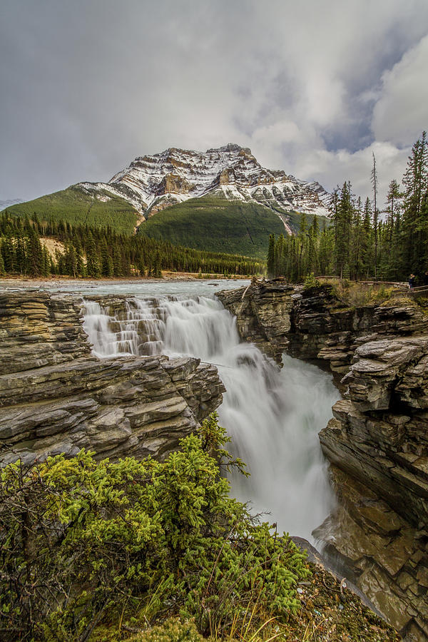 Athabasca Fall Photograph by Ed Cheung
