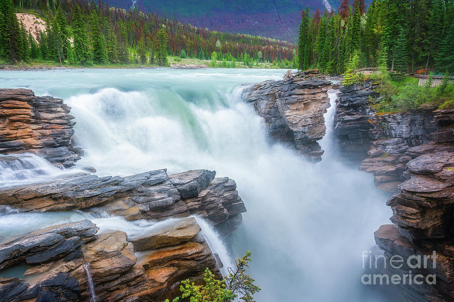 Fall Photograph - Athabasca falls in Alberta by Delphimages Photo Creations