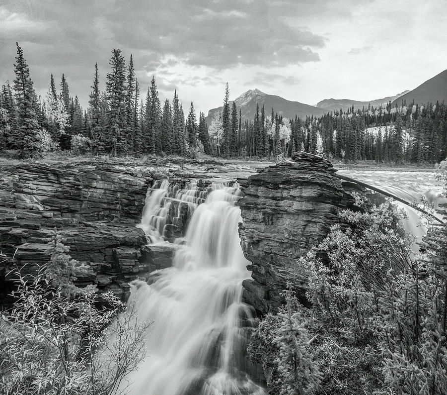 Athabasca Falls Jasper National Park Photograph by Tim Fitzharris