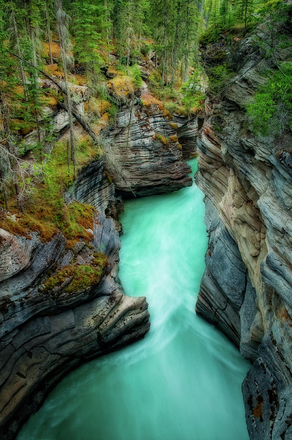 Athabasca Falls Photograph by Jeff Lewis Photography