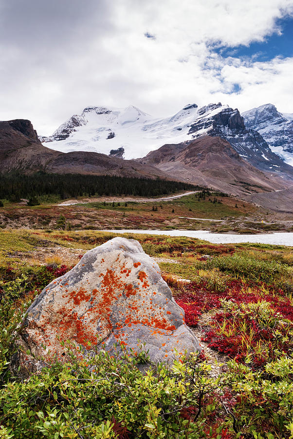 Athabasca Glacier I by Yuri San Athabasca Glacier I by Yuri San