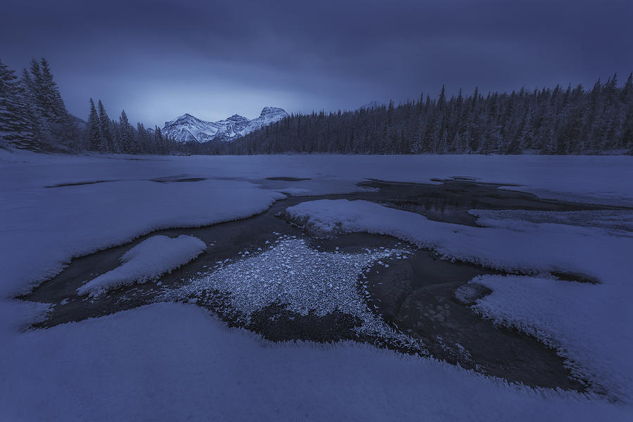 Winter Photograph - Athabasca River by Yun Wang