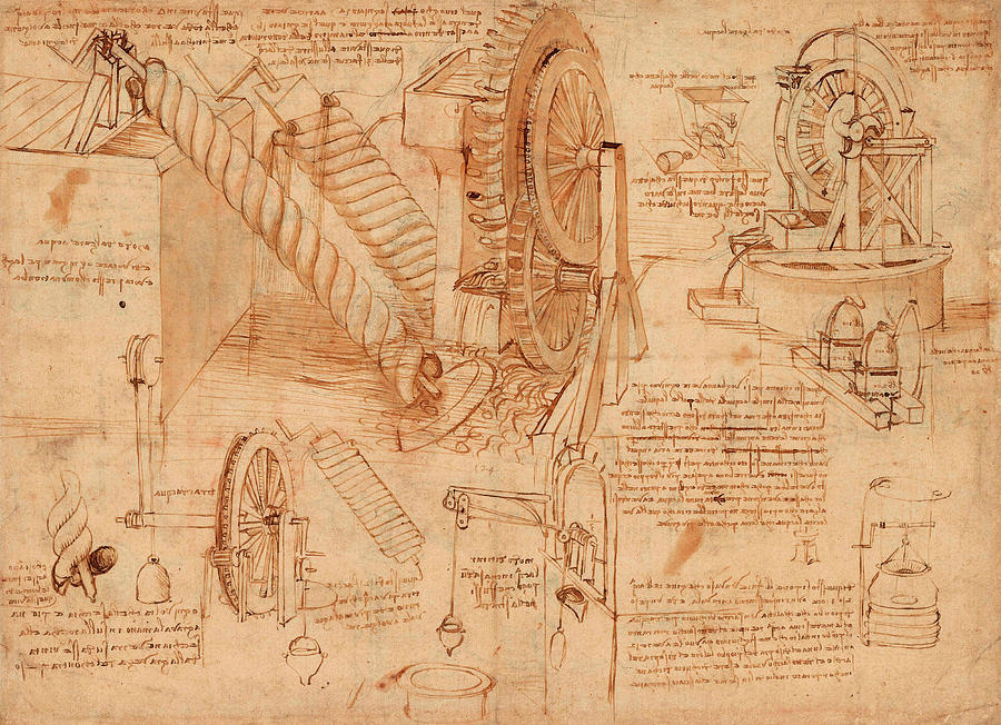 Leonardo da vinci codex erotic drawings