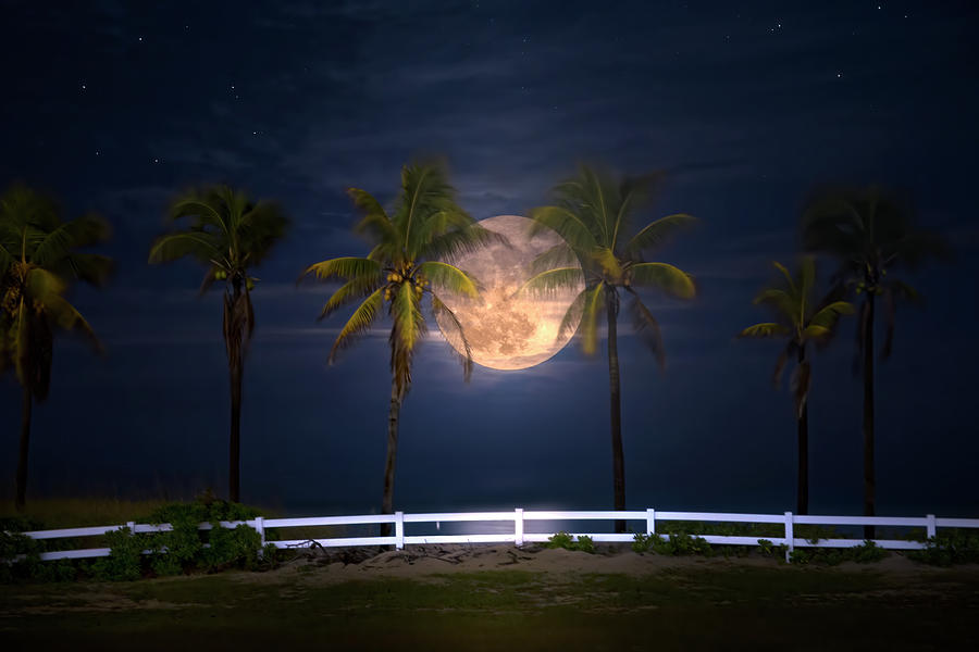 Atlantic Moon Photograph by Mark Andrew Thomas