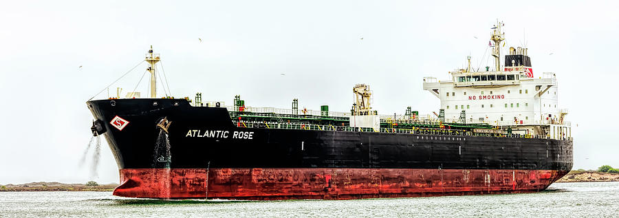 Atlantic Rose Hong Kong Ship Photograph by Debra Martz