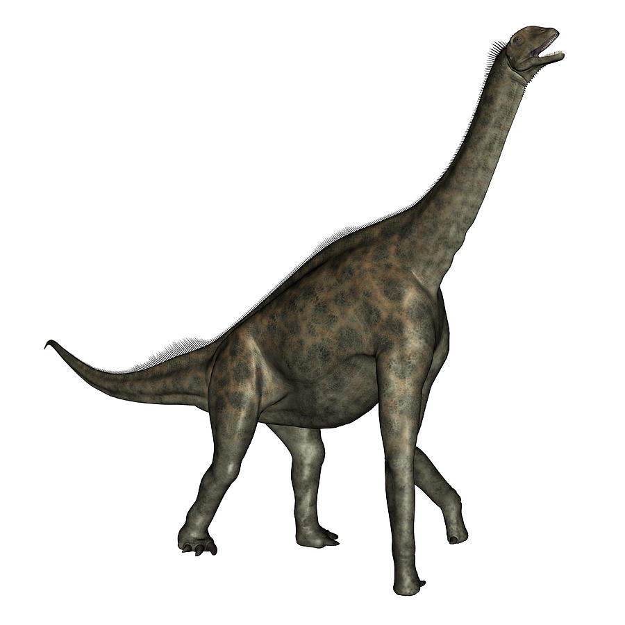 Atlasaurus Dinosaur Walking, Side View Photograph by Elena Duvernay ...