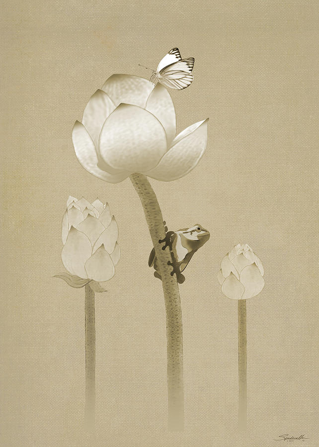 Atop the Lotus Flower Digital Art by M Spadecaller