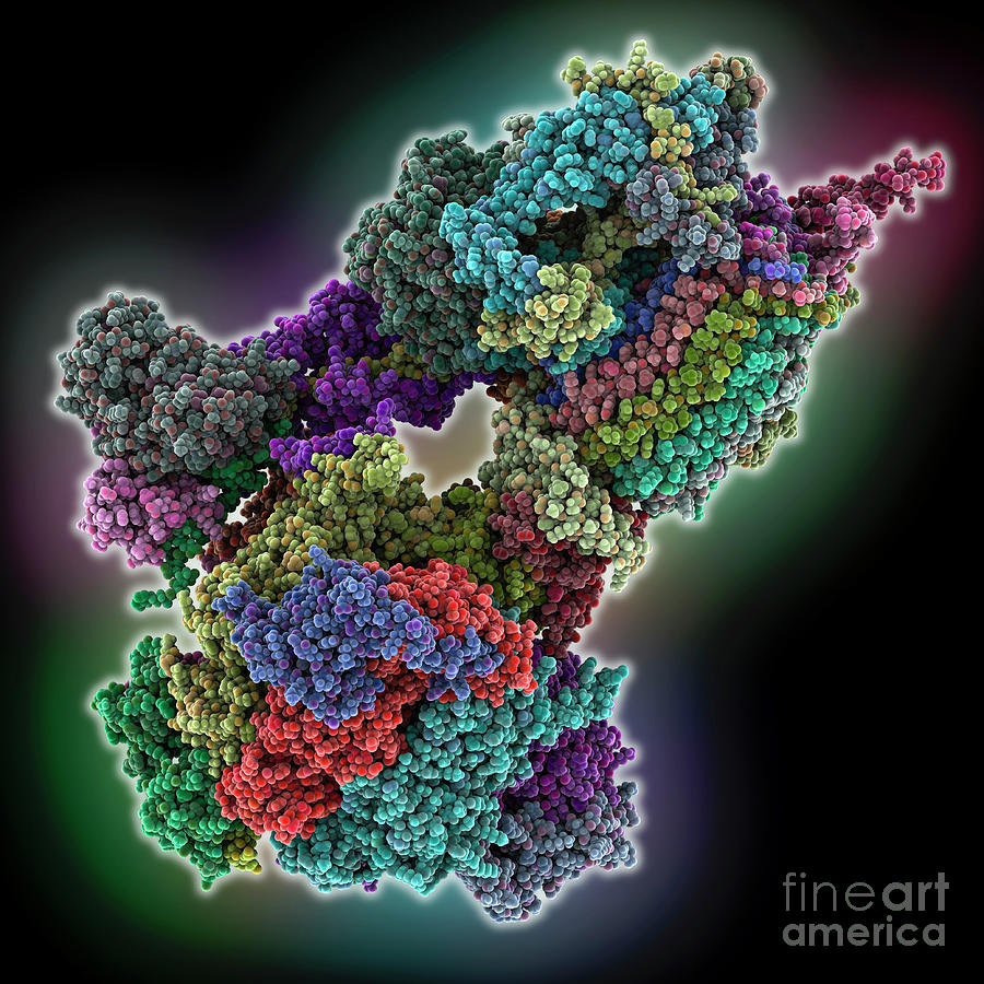 Atp Synthase From Trypanosoma Brucei Photograph by Laguna Design/science Photo Library