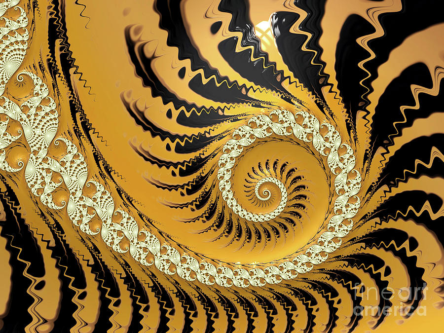 Attractive Golden Spiral Digital Art by Elisabeth Lucas