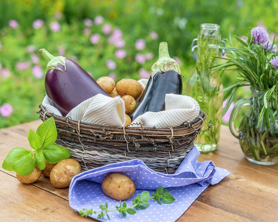 Aubergines, Potatoes And Herbs In A Basket On A Garden Table Photograph by The Studio Collection