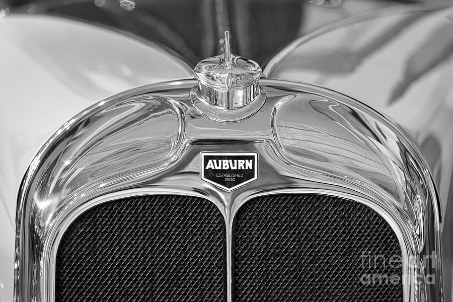 AUburn Hood and Grill Photograph by Dennis Hedberg