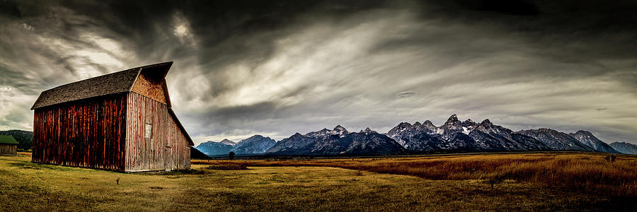Audience for the Tetons Photograph by Bryan Moore
