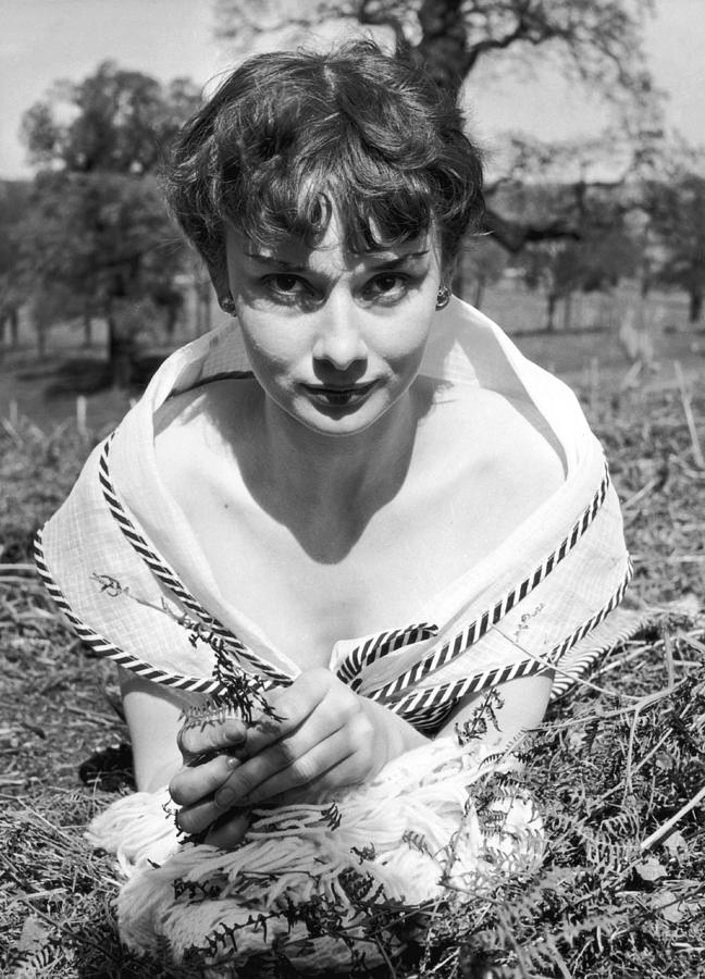 Audrey Hepburn Photograph by Bert Hardy