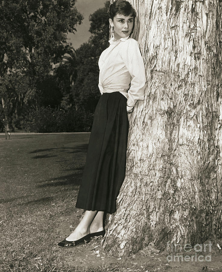 Audrey Hepburn Leaning On Tree Trunk Photograph by Bettmann