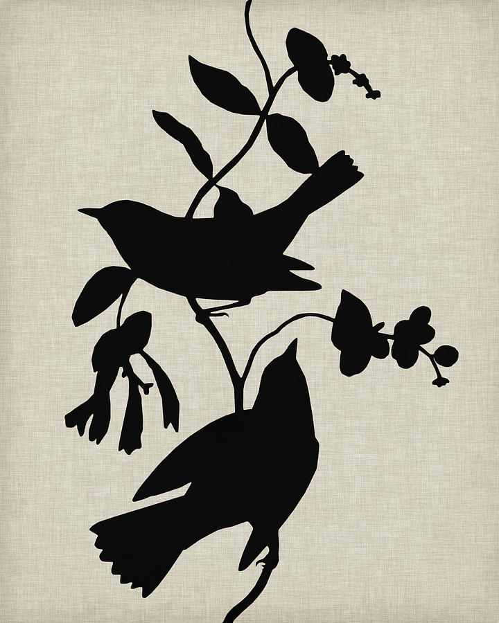 Audubon Silhouette Iv Painting by Vision Studio Audubon Silhouette Iv Painting by Vision Studio