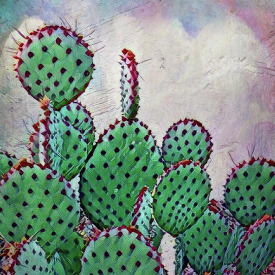 August in Arizona Digital Art by Erynn Leigh - Fine Art America