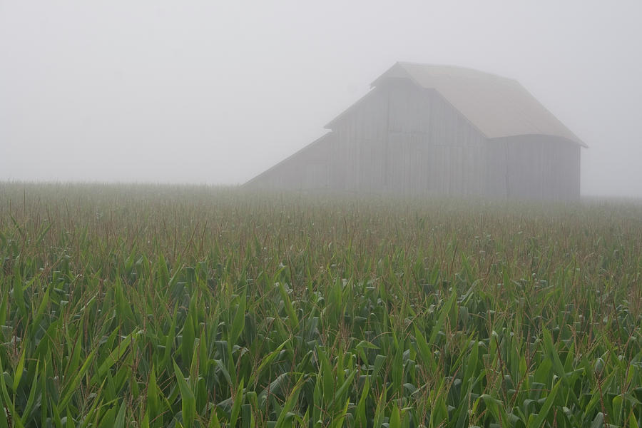 August Morning Barn by Dylan Punke August Morning Barn by Dylan Punke