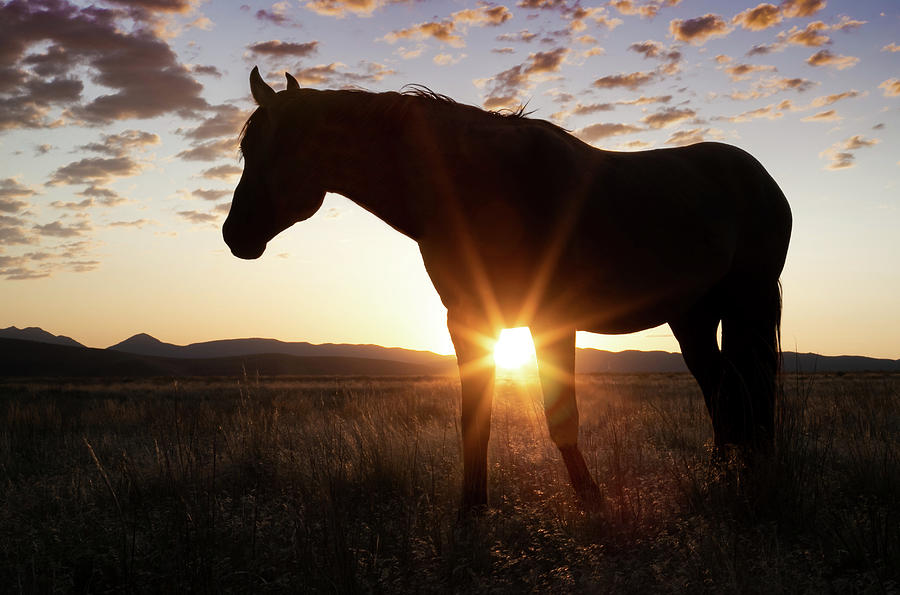 August Sunrise Photograph By Kent Keller - Fine Art America