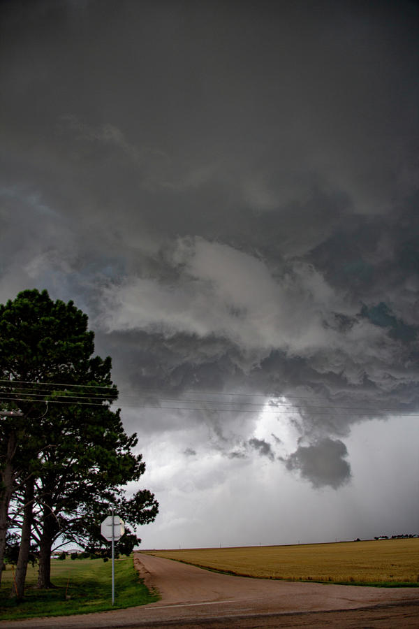 August Thunder 009 Photograph by Dale Kaminski
