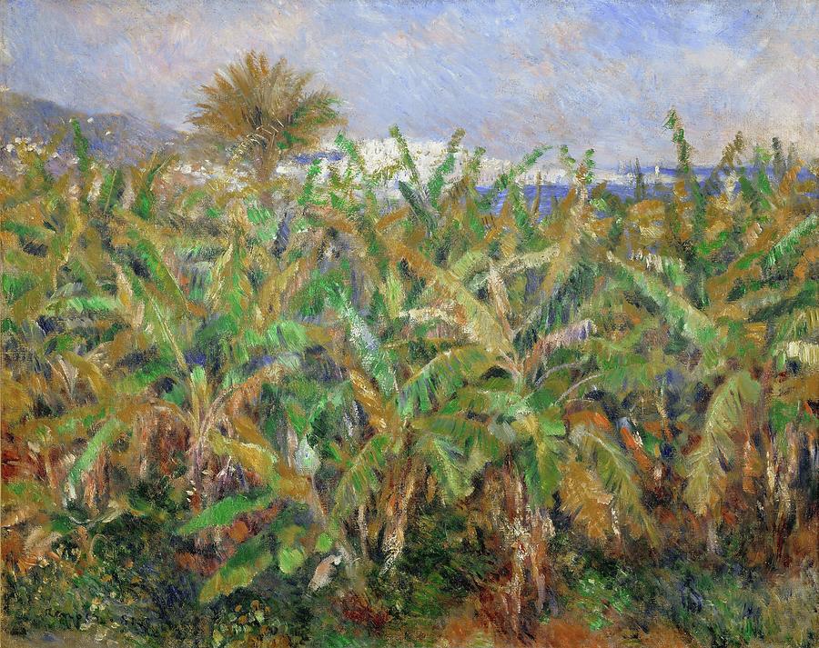 Pierre Auguste Renoir Painting - AUGUSTE RENOIR Champ de bananiers Field of Banana Trees. Date/Period 1881. Painting. by Pierre Auguste Renoir -1841-1919-
