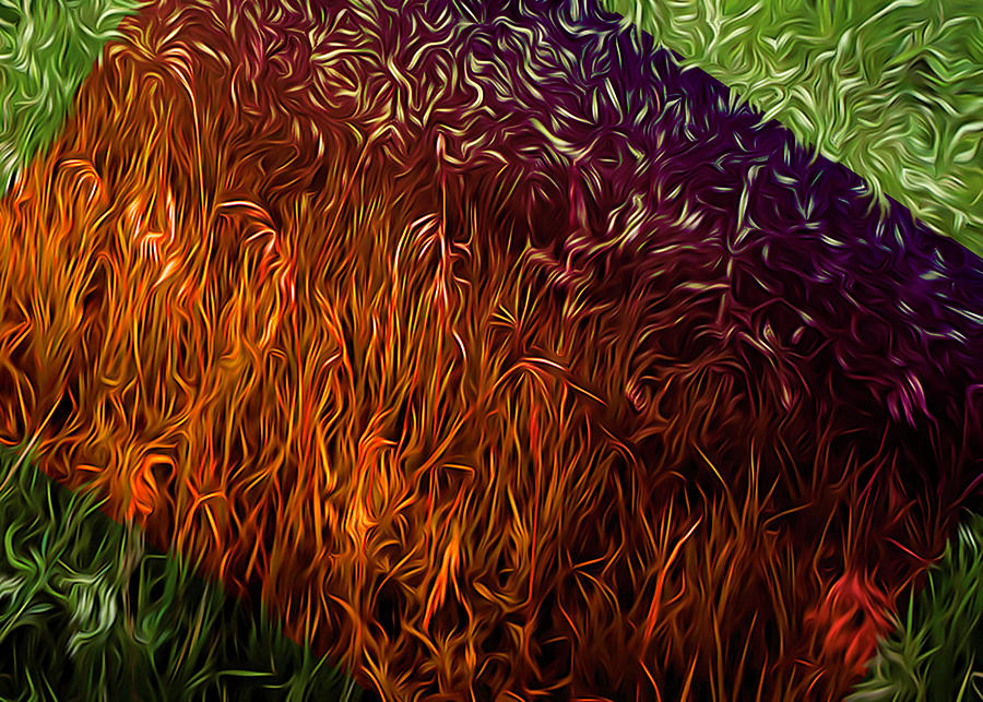 Aura by Brad Simonsen Aura by Brad Simonsen