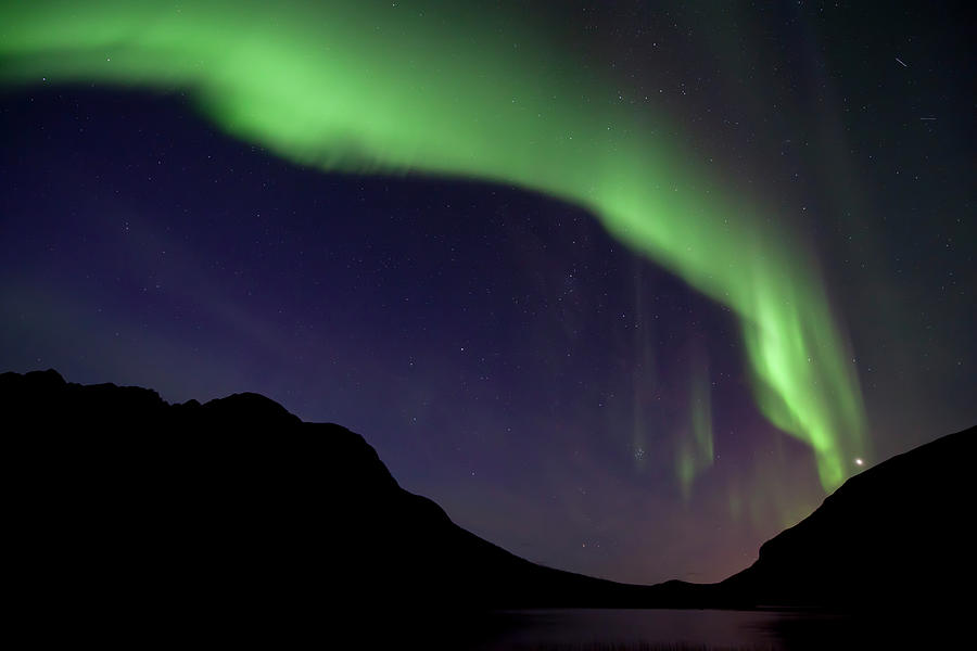 Aurora At  Kattfjord, Near Tromso Photograph by David Clapp