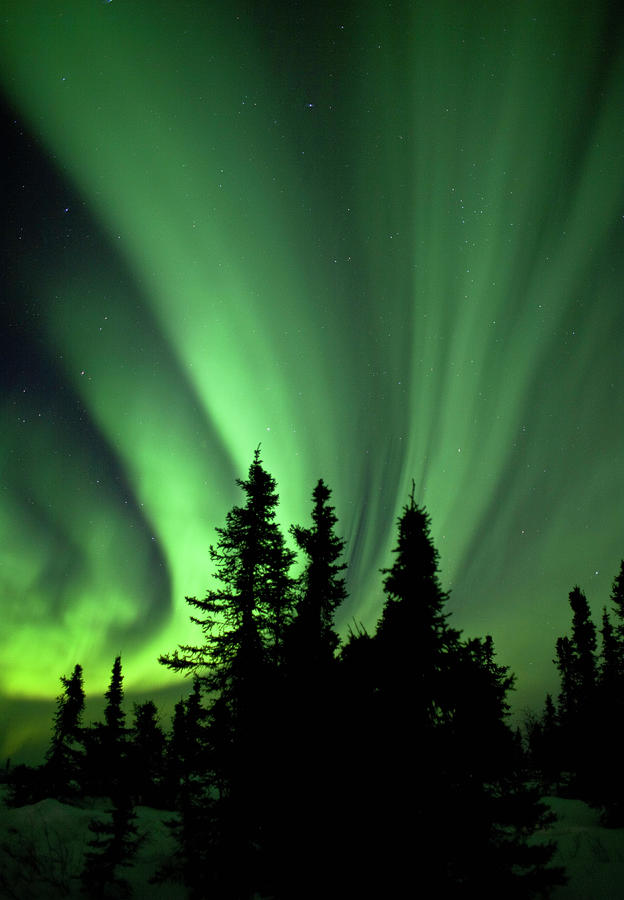 Aurora Borealis, Fairbanks, Alaska Photograph by Ron Crabtree