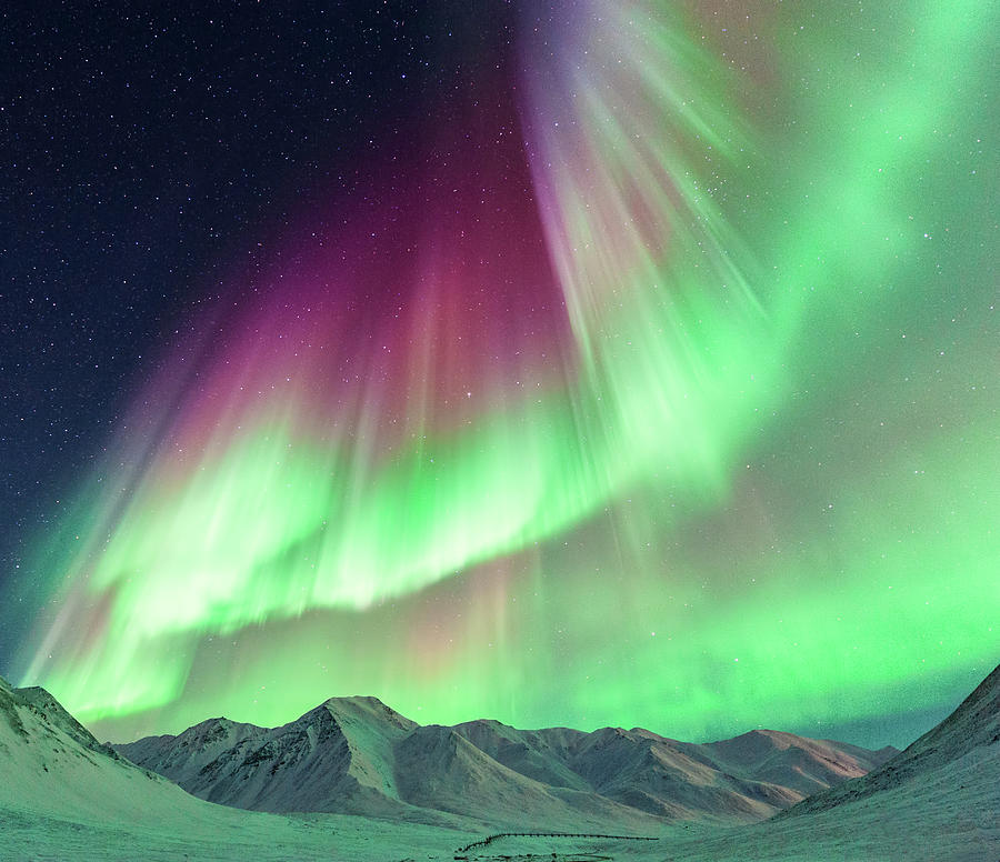 Aurora Borealis In Alaska Photograph by Noppawat Tom Charoensinphon