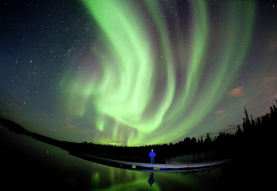 Aurora Borealis In Canada Photograph by Dave Brosha Photography