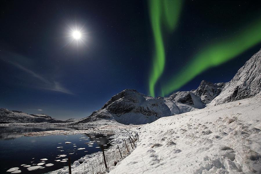 Aurora Borealis, Lofoten Islands, Norway Digital Art by Francesco Russo