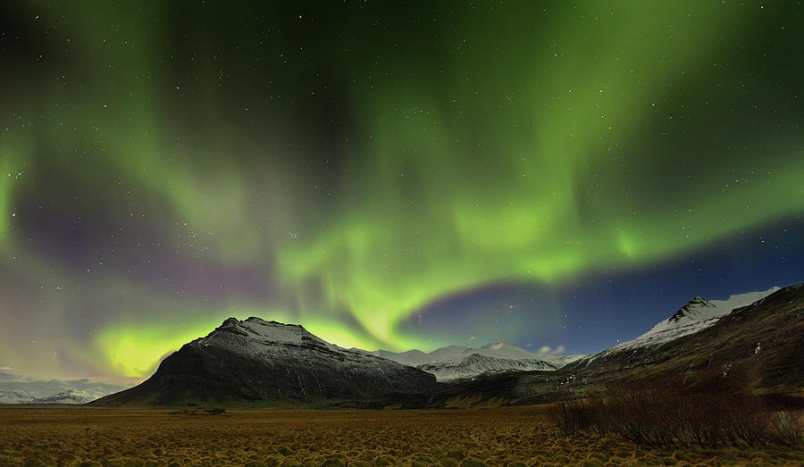 Aurora Iv Islandia Photograph by Martin Zalba