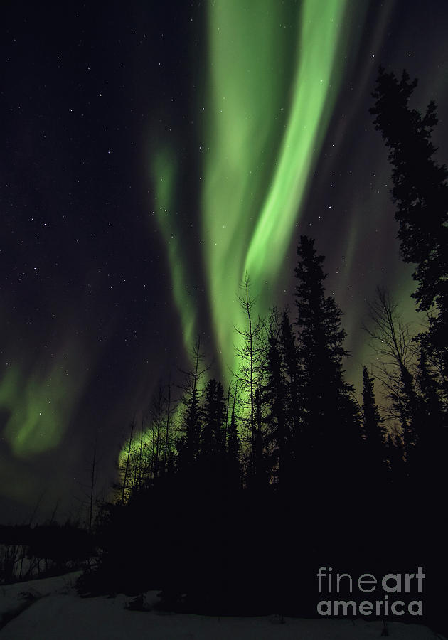 Aurora Night Fire by Theresa Kocka Aurora Night Fire by Theresa Kocka
