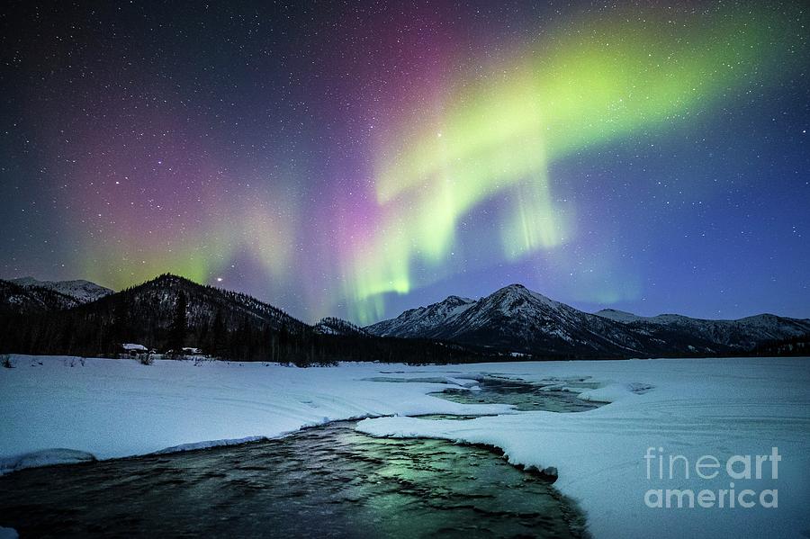 Aurora Over An Alaskan River Photograph by Chris Madeley/science Photo Library