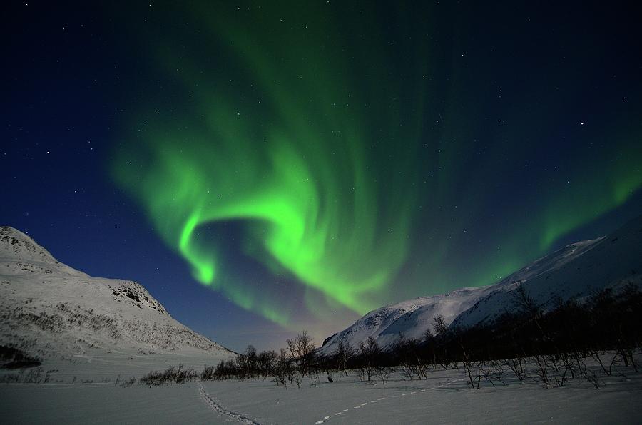 Aurora Over Moonlit Winterland Photograph by John Hemmingsen