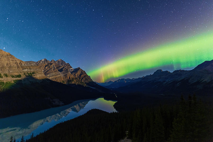 Aurora Over Peyto Lake With Moonlight Mountain Photograph by Jenny L. Zhang ( ???